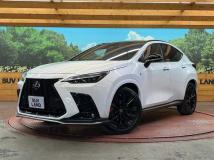 2022 Lexus NX