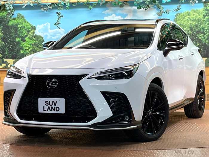 2022 Lexus NX