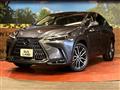 2022 Lexus NX