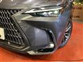 2022 Lexus NX