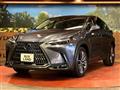 2022 Lexus NX