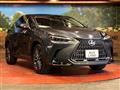 2022 Lexus NX