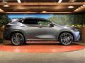 2022 Lexus NX