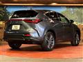 2022 Lexus NX