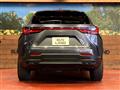 2022 Lexus NX