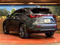 2022 Lexus NX