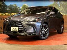 2022 Lexus NX