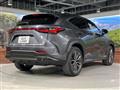 2023 Lexus NX