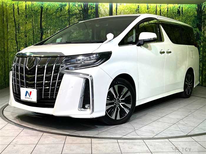 2019 Toyota Alphard