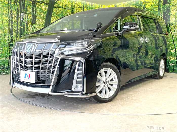 2019 Toyota Alphard