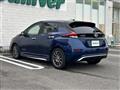 2020 Nissan Leaf