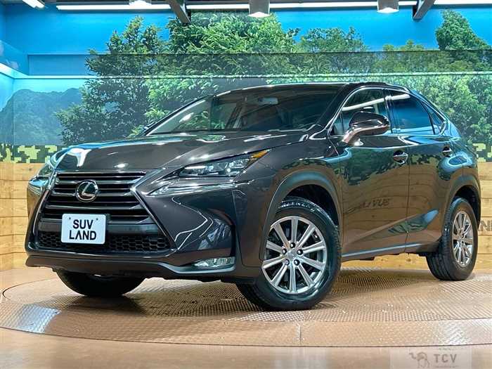 2015 Lexus NX