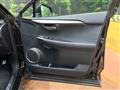 2014 Lexus NX