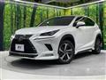 2018 Lexus NX