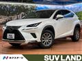 2018 Lexus NX
