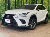 2018 Lexus NX