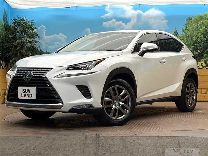 2018 Lexus NX