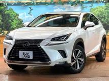 2018 Lexus NX