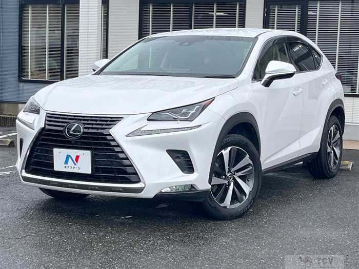 2018 Lexus NX