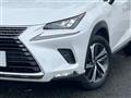 2018 Lexus NX