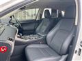 2018 Lexus NX