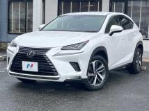 2018 Lexus NX