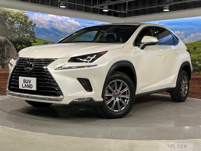 2018 Lexus NX