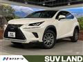2018 Lexus NX