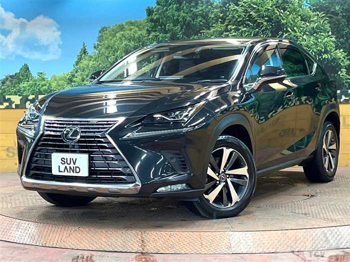2019 Lexus NX
