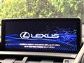 2019 Lexus NX