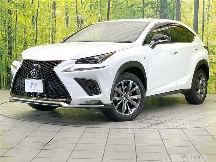 2019 Lexus NX