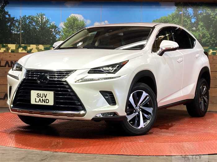 2021 Lexus NX