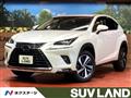 2021 Lexus NX
