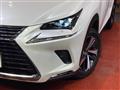 2021 Lexus NX