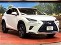 2021 Lexus NX