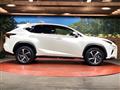 2021 Lexus NX