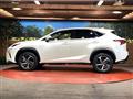 2021 Lexus NX