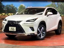 2021 Lexus NX