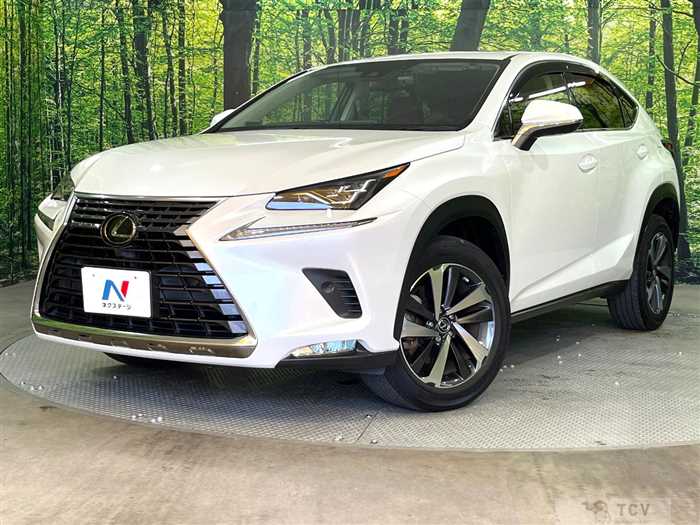 2019 Lexus NX