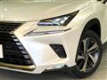 2019 Lexus NX