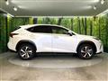 2019 Lexus NX