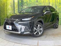 2019 Lexus NX
