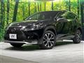 2014 Lexus NX