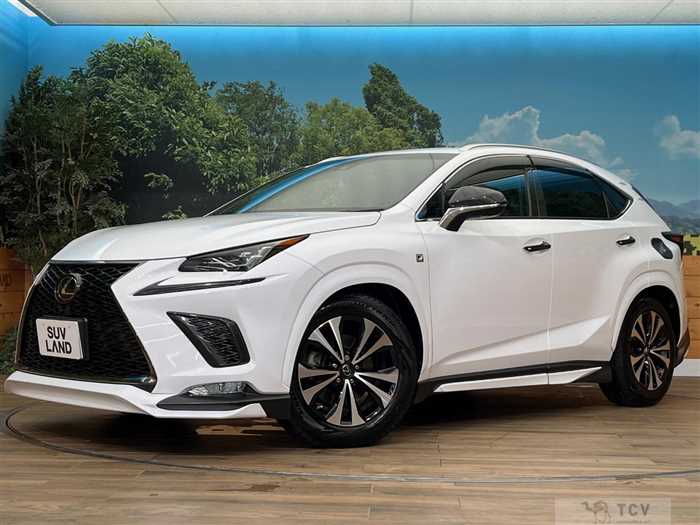 2017 Lexus NX