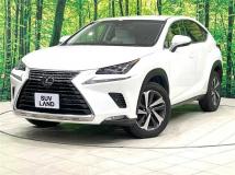2018 Lexus NX