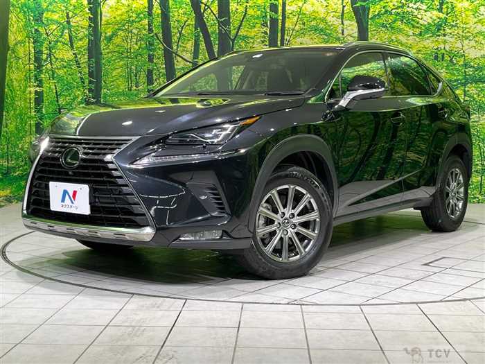 2021 Lexus NX