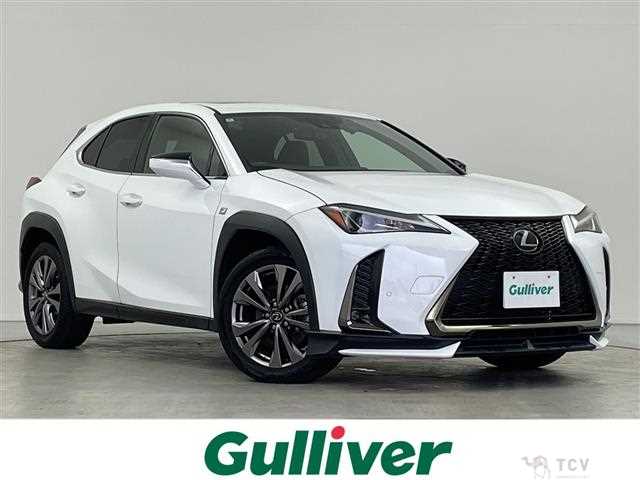 2020 Lexus UX