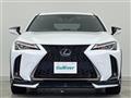 2020 Lexus UX