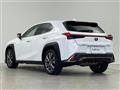 2020 Lexus UX