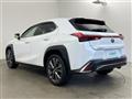 2020 Lexus UX